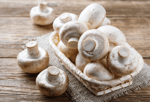 Sustainable flowpack packaging mushrooms