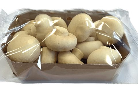 Sustainable flowpack packaging mushrooms