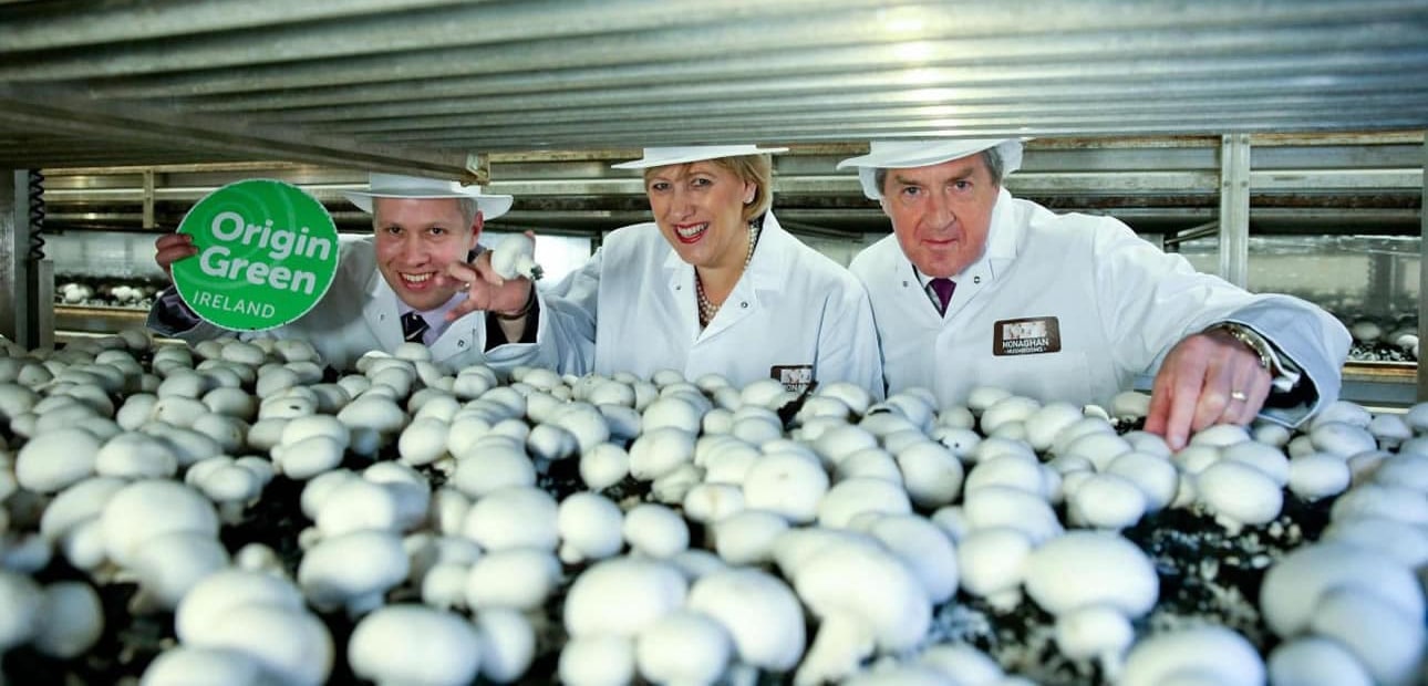 Polyethyleenalternatief in flowpack voor champignons