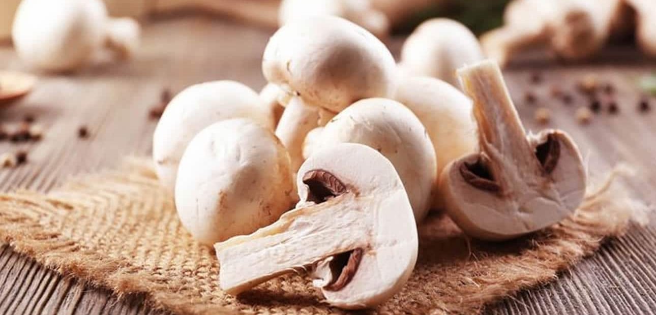 Polyethyleenalternatief in flowpack voor champignons